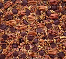chocolate pecan pie bars, functional image chocolate chip pecan pie bars top down zoomed in image of bars cut into squares