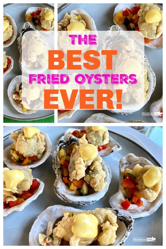 the secret to frying oysters perfectly recipe