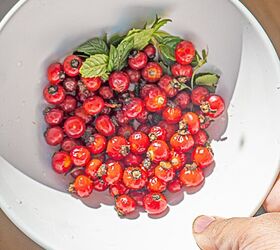 Rose Hip Tea Recipe, How to make Rose Hip Tea Recipe 