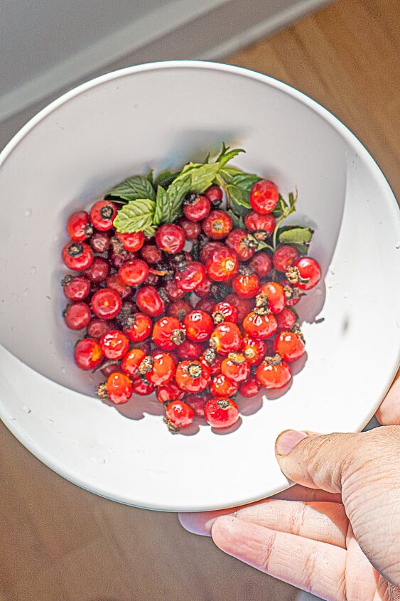 three ways to make dried wild rose hip tea, overhead shot of person holding a bowl of whole rose hips w