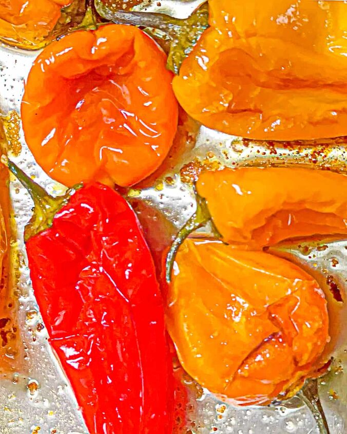 sweet roasted mini peppers, roasted mini peppers on a metal sheet tray in oil