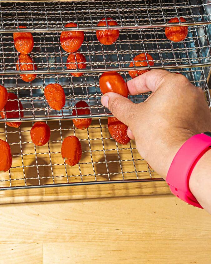 dehydrated tomato powder recipe, person placing tomatoes in dehydrator