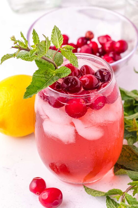 cranberry gin cocktail, Cranberry gin cocktail with mint garnish