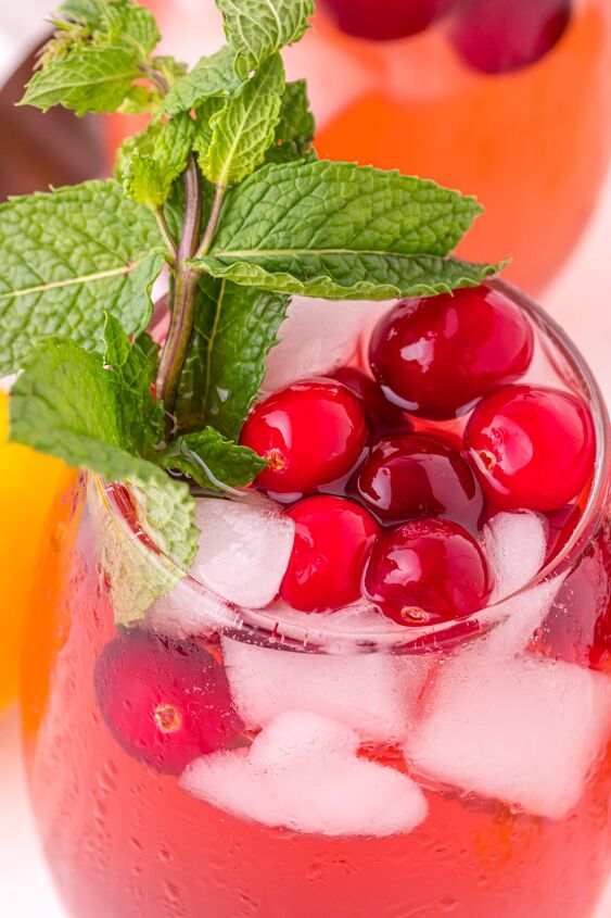 cranberry gin cocktail, Closeup cranberry cocktail