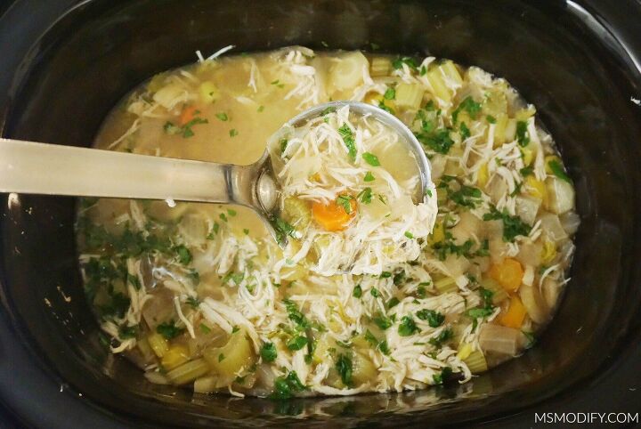 slow cooker chicken noodle less soup, Chicken Noodle less Soup