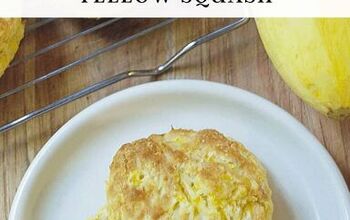 Yellow Squash Cheddar Cheese Biscuit Recipe