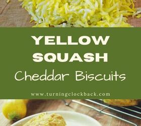 yellow squash cheddar cheese biscuit recipe, Yellow Squash Cheddar Biscuits