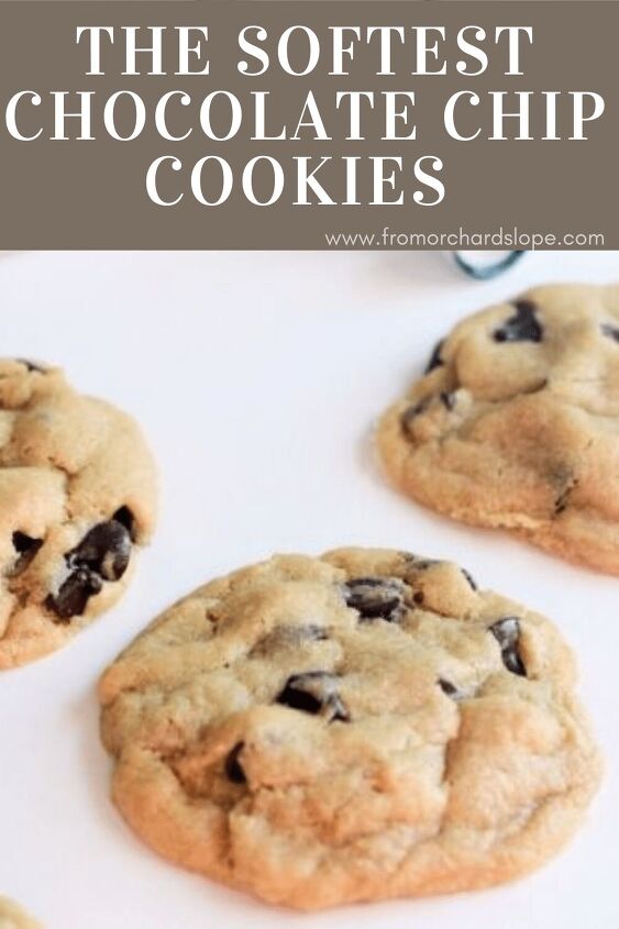 the softest chocolate chip cookie recipe