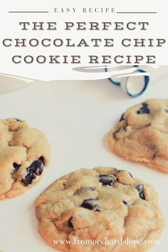 the softest chocolate chip cookie recipe