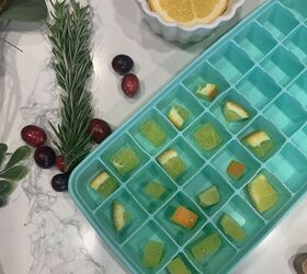 Festive Fruit Ice Cubes • Photo Backdrops UK from Capture by Lucy