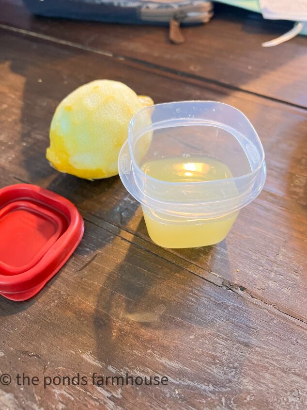Freeze the lemon juice for future recipes