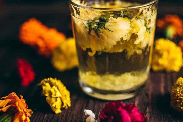 how to make calendula tea, a clear glass with calendula blossoms floating in it