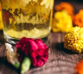 how to make calendula tea, Learn how to make Calendula tea with dried or fresh calendula flowers hot or iced including a sun tea method These gentle blossoms are soothing and packed with healing properties