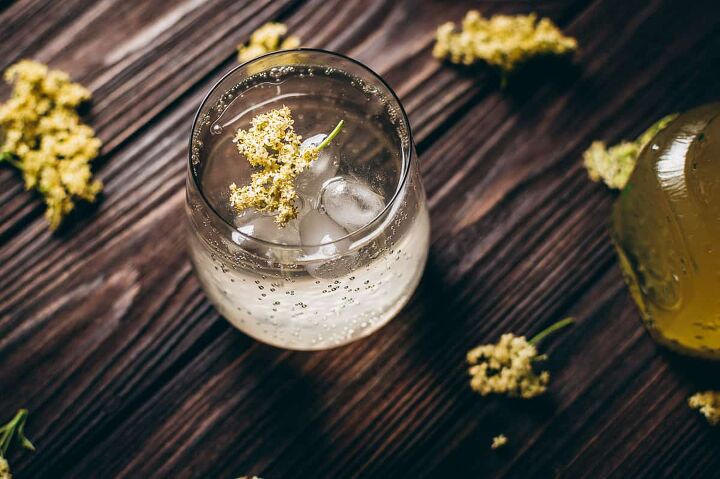 elderflower fizz mocktail, a clear glass filled with bubbles in a clear liquid garnished with fresh elderflowers
