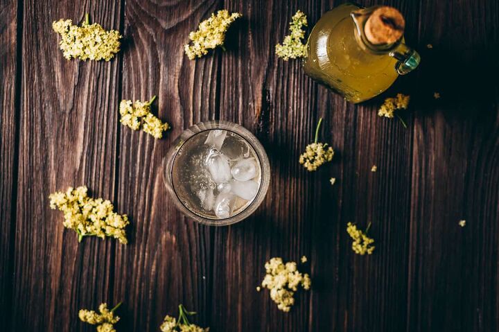 elderflower fizz mocktail, a top view of a clear glass of sparkling elderflower fizz on a dark wooden table scattered with fresh elderflowers