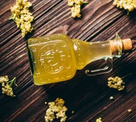 how to make elderflower cordial, a bottle of elderflower cordial glowing bright yellow from the light of the sun