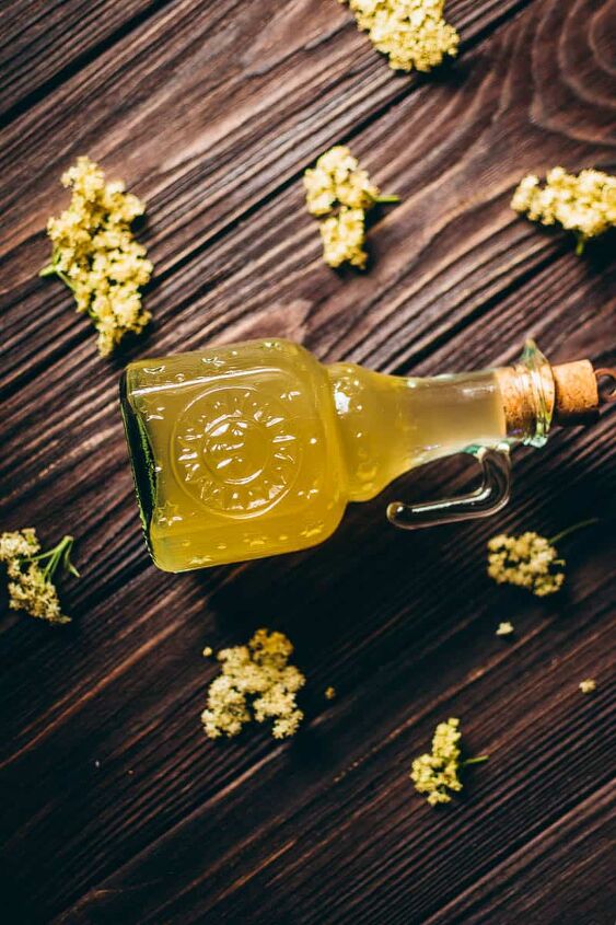 how to make elderflower cordial, a bottle of elderflower cordial glowing bright yellow from the light of the sun