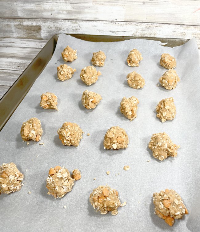 soft chewy oatmeal scotchies gluten free