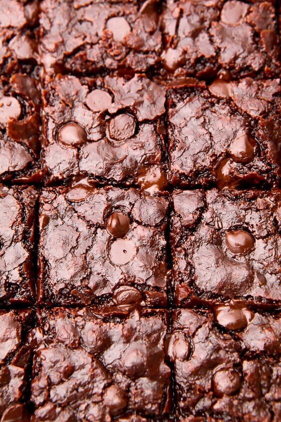 the best vegan brownies, A top view of eggless brownies with chocolate chips on top cut into squares