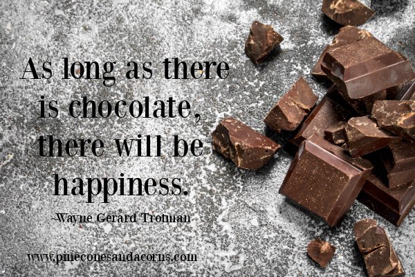 fudgy caramel stuffed brownies with sea salt, Wayne Gerard Trotman quote with a pile of chocolate