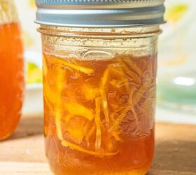 honey fermented ginger, courtesy of stephanie gravalese