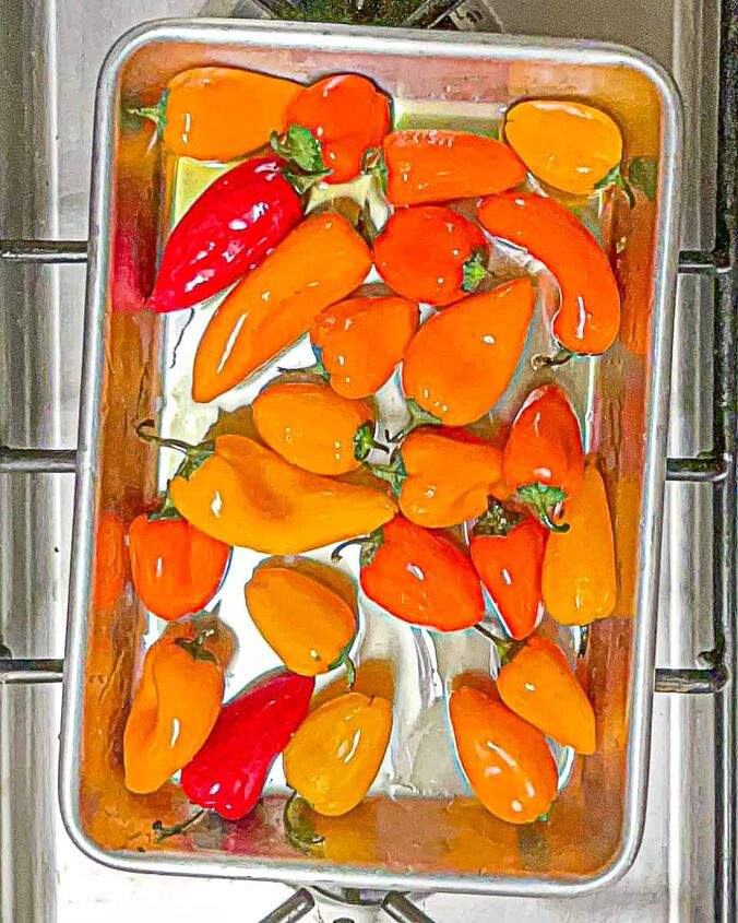 sweet roasted mini peppers