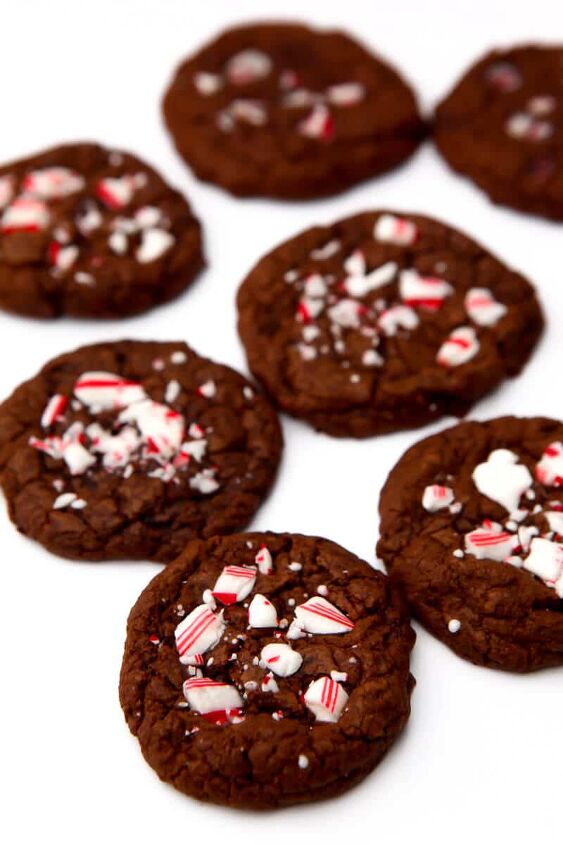 vegan chocolate cookies, Vegan chocolate peppermint cookies with crushed candy canes on top of them