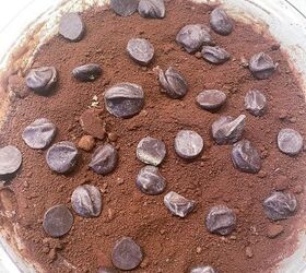 low fodmap chocolate pudding cake, large chocolate chips on top of chocolate pudding cake batter in pie plate
