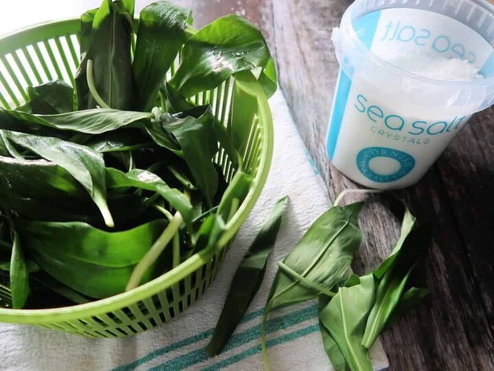 This easy wild garlic salt recipe uses just two ingredients and takes minutes to make so it s a great way to preserve this delicious spring herb quickly