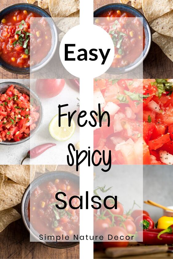 easy spicy salsa recipe