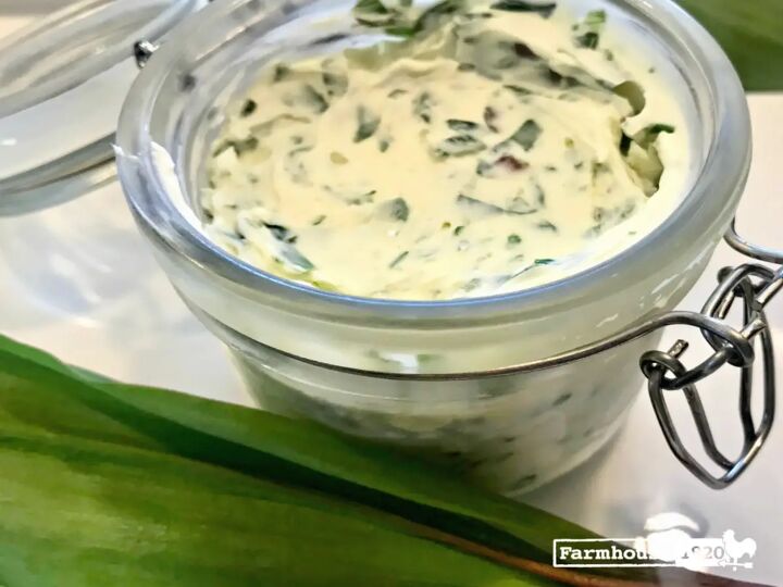 Homemade Creamy Ramp Dip Recipe | Foodtalk
