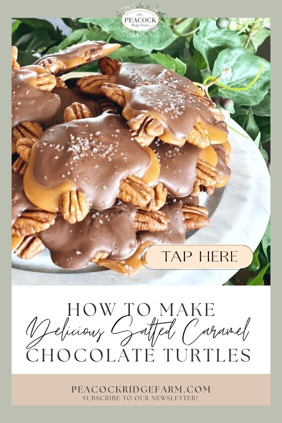 how to make delicious salted caramel turtles