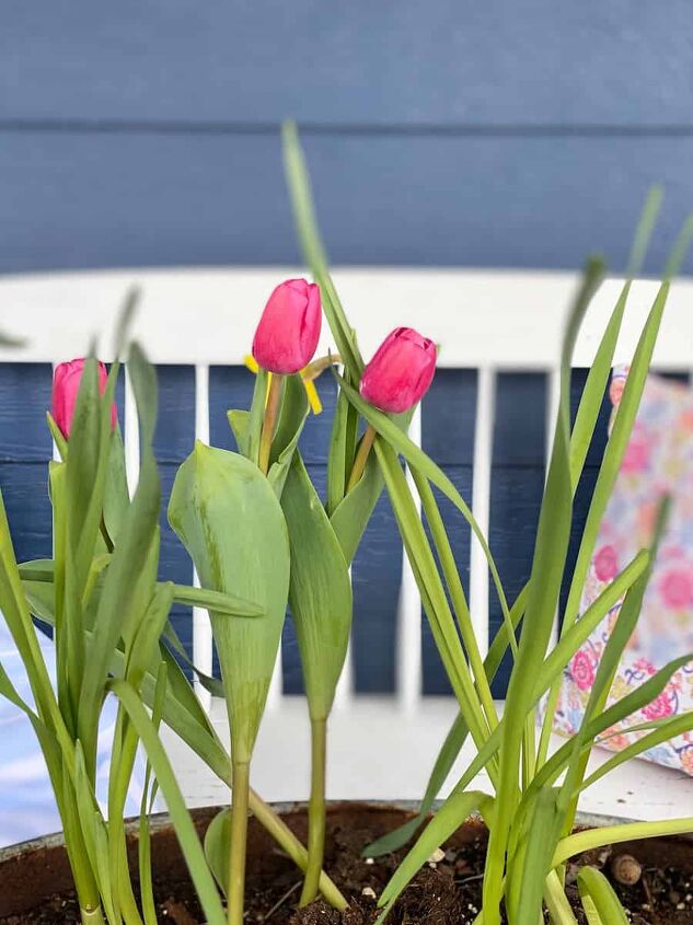 the best menu ideas for easter sunday brunch, photo of pink tulips with a white bench in the background