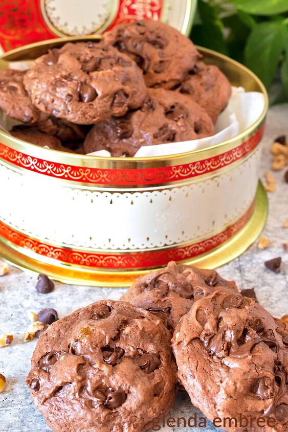fudgy black walnut chocolate malt cookies, double fudge chocolate malt cookies with black walnuts in an antique tin with black walnuts and chocolate chips strewn about the counter