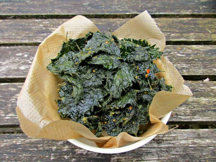 a bowl filled with stinging nettle crisps