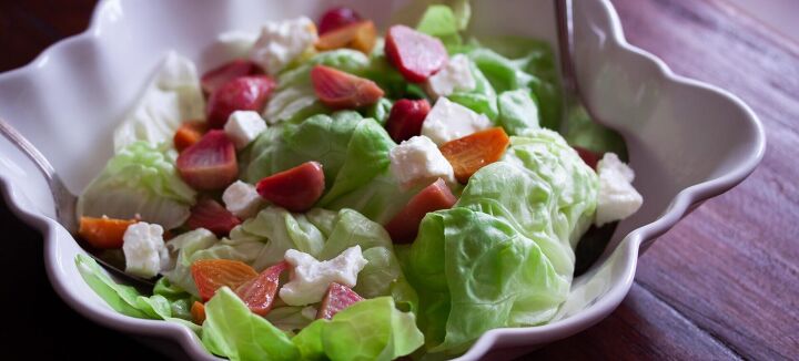 bibb lettuce roasted beets and feta cheese salad, Bibb Lettuce Roasted Beets and Feta Cheese