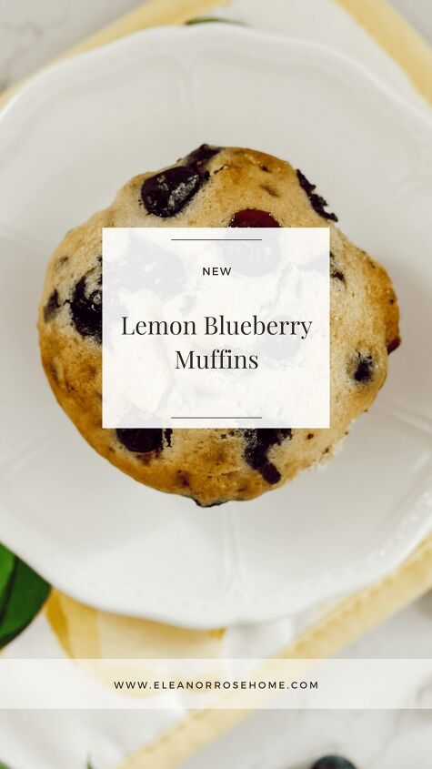 lemon blueberry muffins, Lemon blueberry muffin recipe that is moist and delicious