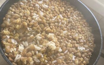 Majadra – Rice With Lentils