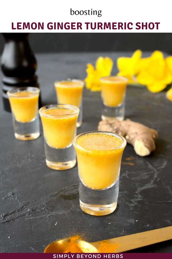 lemon ginger turmeric shot recipe, How many immune boosting shots a day can you take