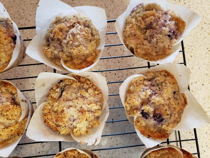 the sourdough blueberry lemon muffins you ve been missing, chillin out