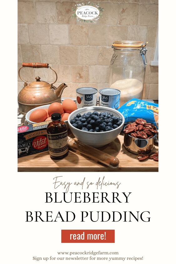 how to make easy and delicious blueberry bread pudding