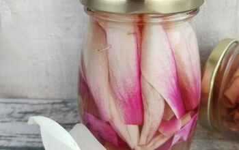 Pickled Magnolia Flowers Recipe