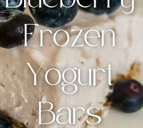 Blueberry Frozen Yogurt Bars