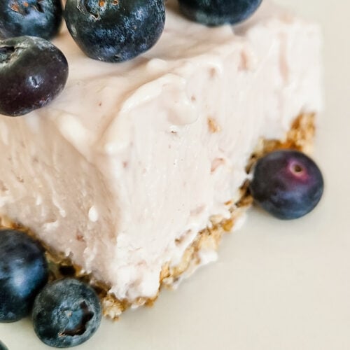 blueberry frozen yogurt bars