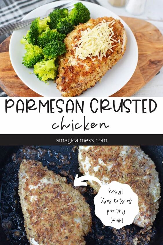 easy parmesan crusted chicken recipe, Parmesan crusted chicken on a dinner plate and in a pan
