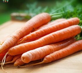 Why we've all been eating carrots the wrong way this whole time (this is SO much better!)