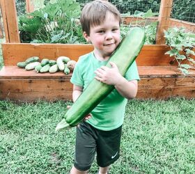 the best lemon zucchini bread, Boy carrying large zucchini from his garden
