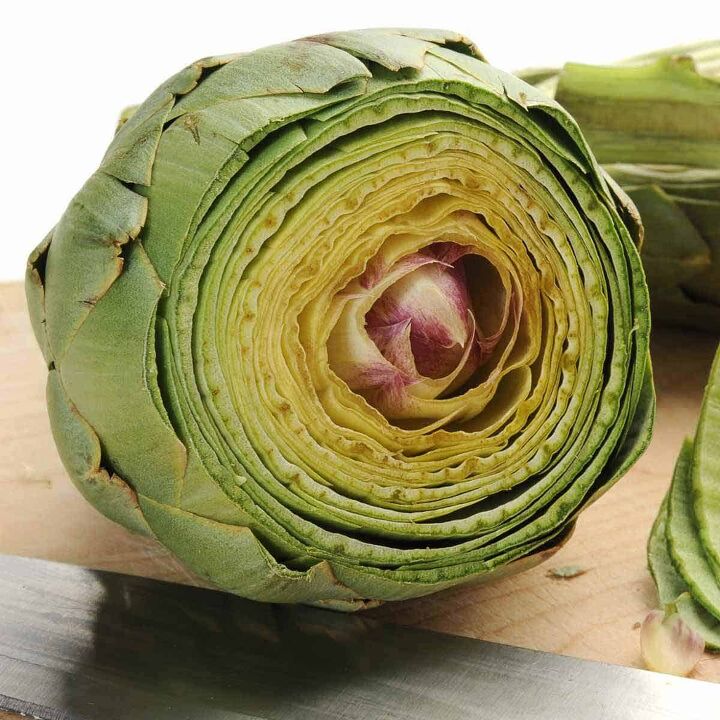 how to microwave an artichoke, A raw artichoke with the top cut off ready to be steamed in the microwave