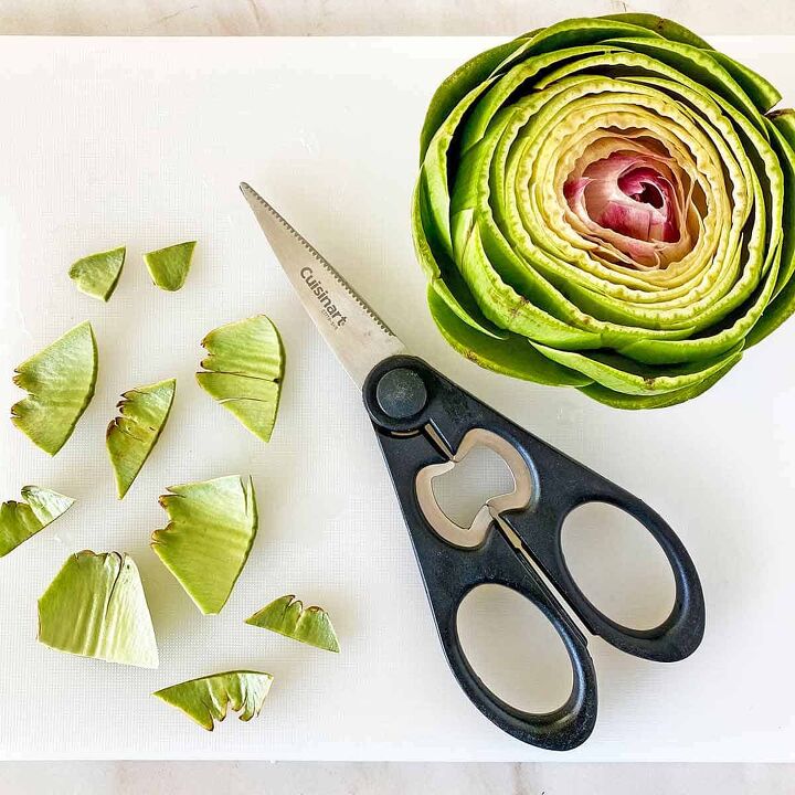how to microwave an artichoke, An artichoke on a cutting board with kitchen scissors and cut leaf points