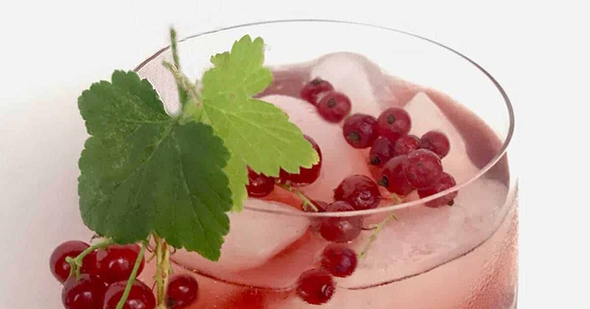 Red Currant Tea Red Currant Honey Iced Tea | Foodtalk